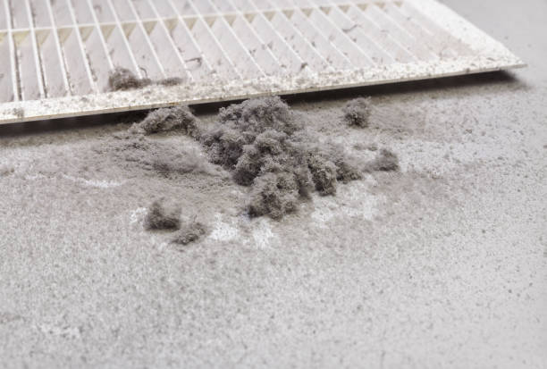 Best HVAC System Cleaning  in Winthrop Harbor, IL