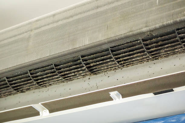 Best Residential Air Duct Cleaning  in Winthrop Harbor, IL