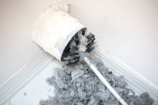 Best Home Air Vent Cleaning  in Winthrop Harbor, IL